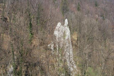 Okameneli svatje